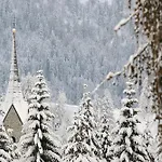 Diffuso In Di Sopra ساوريس
