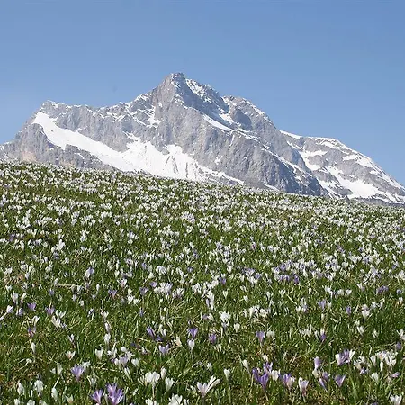 Diffuso In Di Sopra Sauris