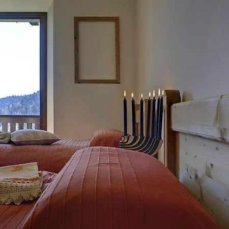 Apartment Albergo Diffuso Sauris In Sauris Di Sopra
